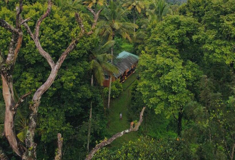 Четырехместный Номер Стандарт Вид на Сад, Punarjani Ayurvedic Resorts