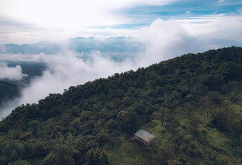 Номер Стандарт Вид на Парк, Punarjani Ayurvedic Resorts