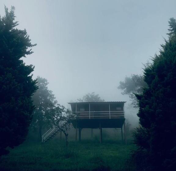 Номер Стандарт Вид на Парк, Punarjani Ayurvedic Resorts