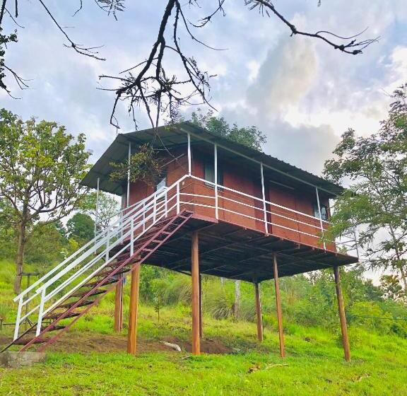 Номер Стандарт Вид на Парк, Punarjani Ayurvedic Resorts