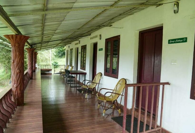 Семейный Номер Вид на Сад, Punarjani Ayurvedic Resorts