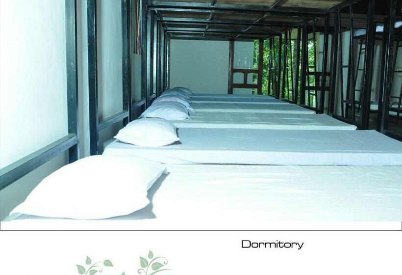 Четырехместный Номер Стандарт Вид на Сад, Punarjani Ayurvedic Resorts