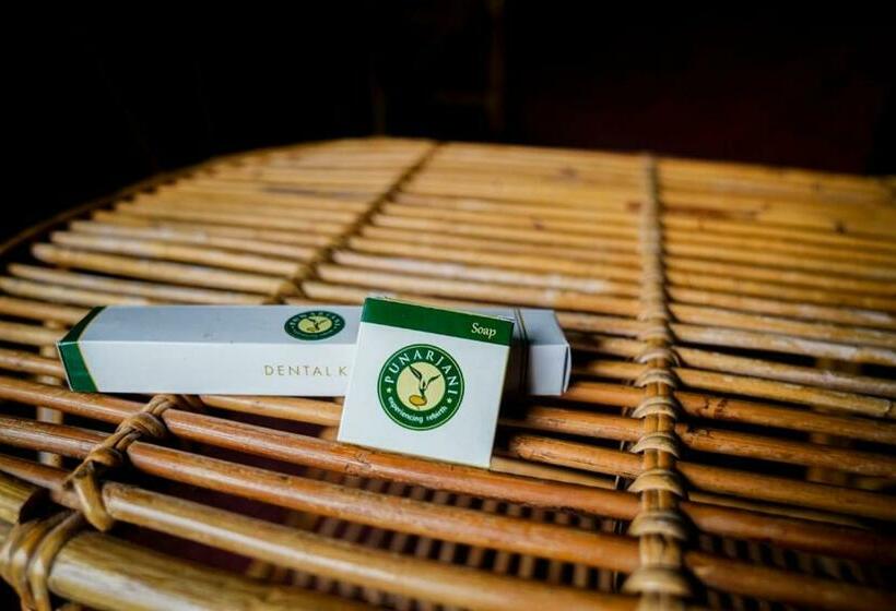 Четырехместный Номер Стандарт Вид на Сад, Punarjani Ayurvedic Resorts