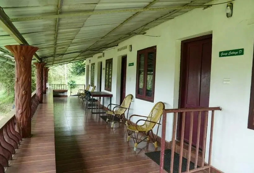 Standard Neljän Hengen Huone Puutarhanäkymä, Punarjani Ayurvedic Resorts