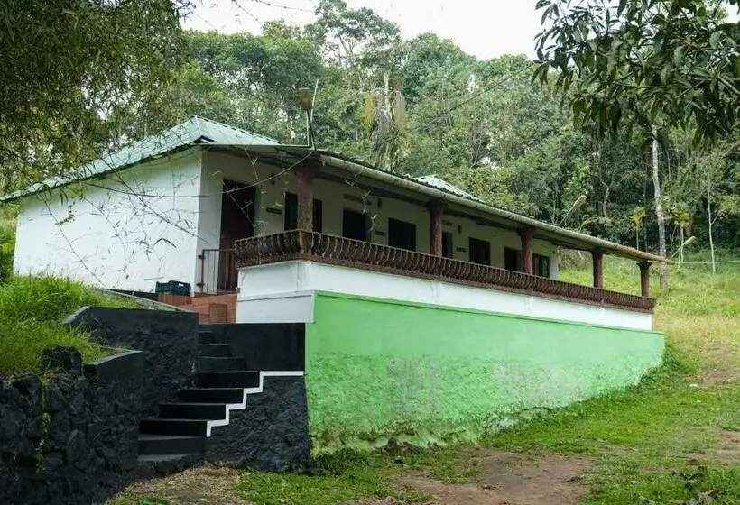 Standard Neljän Hengen Huone Puutarhanäkymä, Punarjani Ayurvedic Resorts