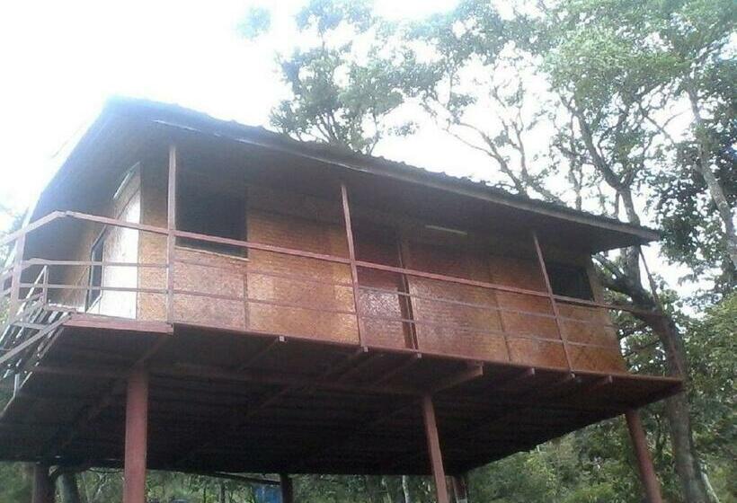 Номер Стандарт Вид на Парк, Punarjani Ayurvedic Resorts