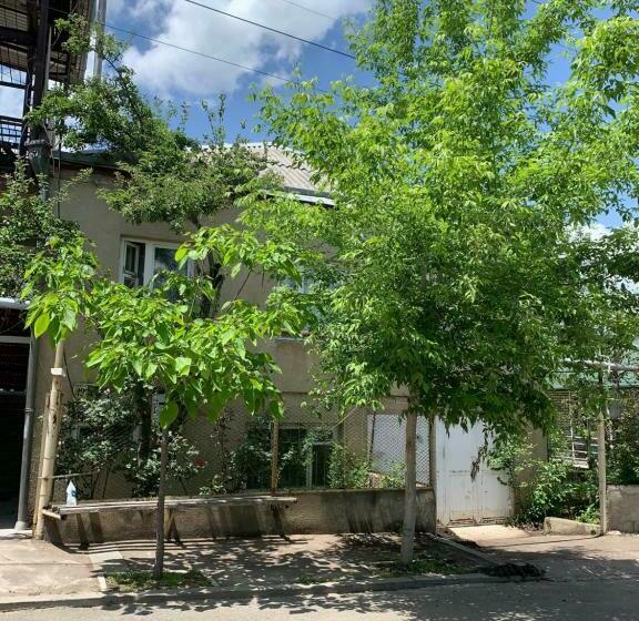 غرفة قياسية, Dendrobak Guesthouse