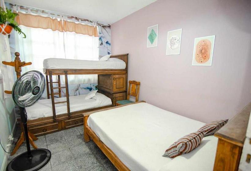 اتاق استاندارد سه تخته با سرویس بهداشتی مشترک, Capital Hostel
