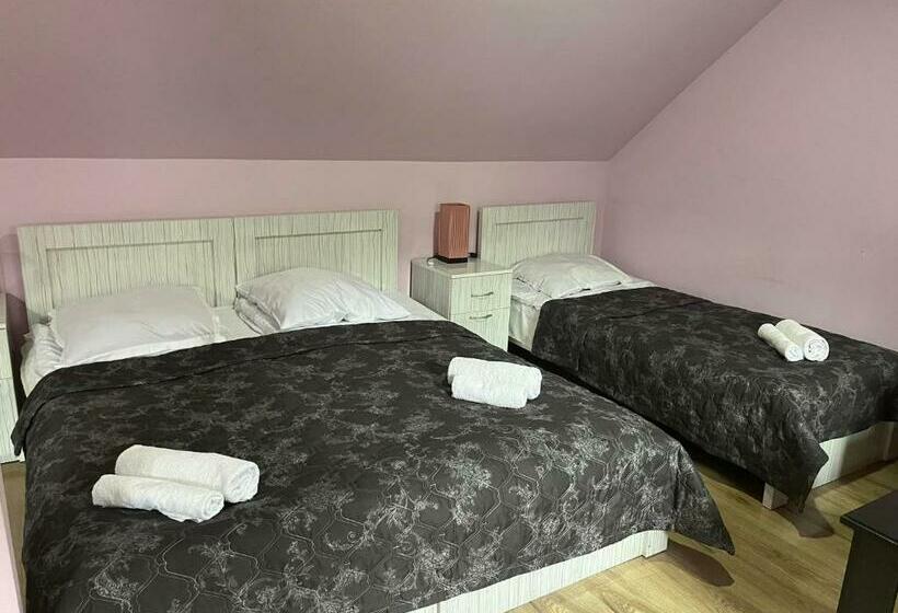 اتاق استاندارد چهار تخته, New Star