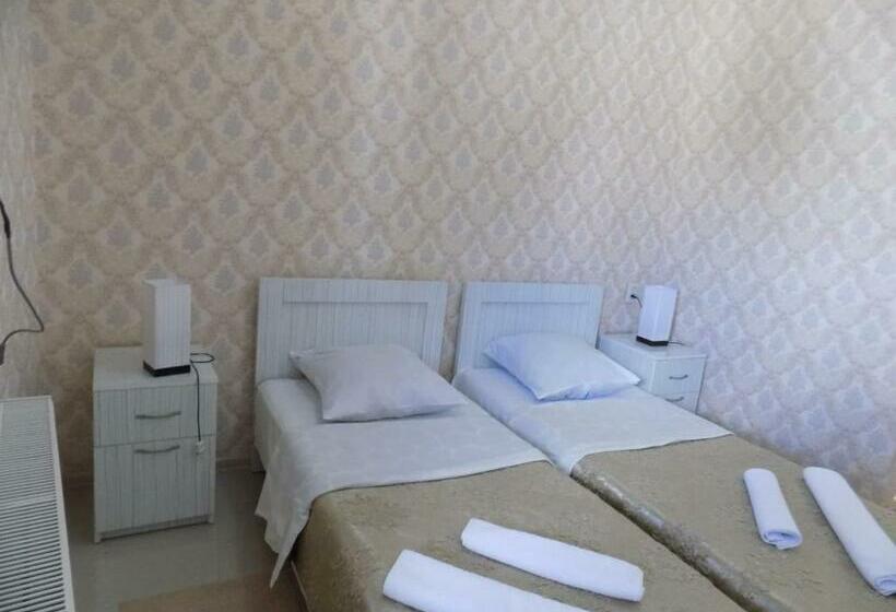 اتاق خانوادگی, New Star