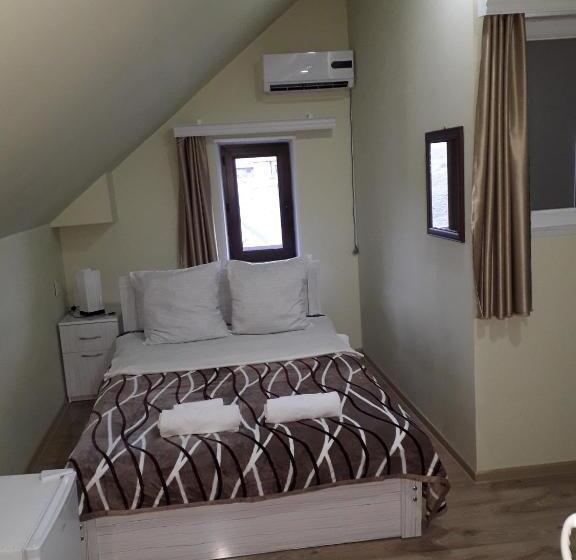 اتاق استاندارد, New Star