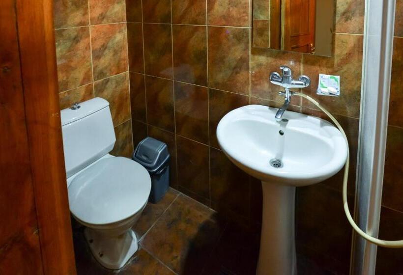 اتاق استاندارد, Shin