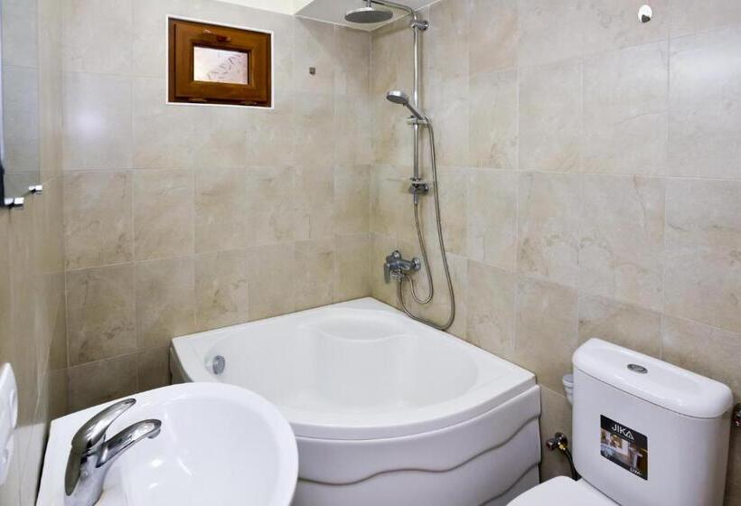 استودیو خانوادگی, Shin