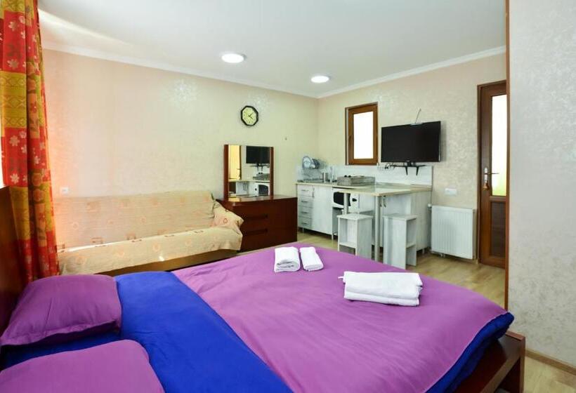 استودیو خانوادگی, Shin