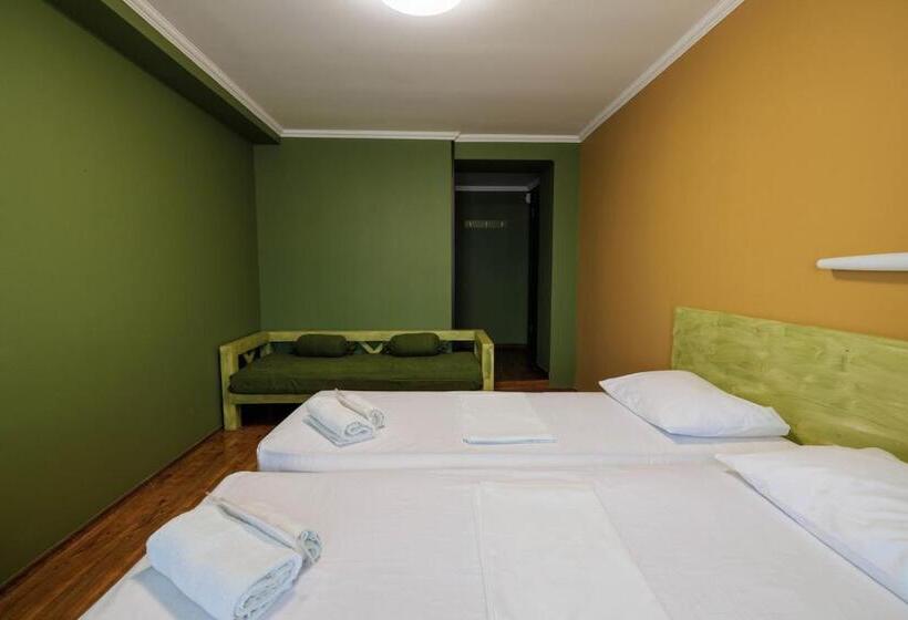 اتاق استاندارد با چشم‌انداز شهر, Tbilisi Central By Mgzavrebi