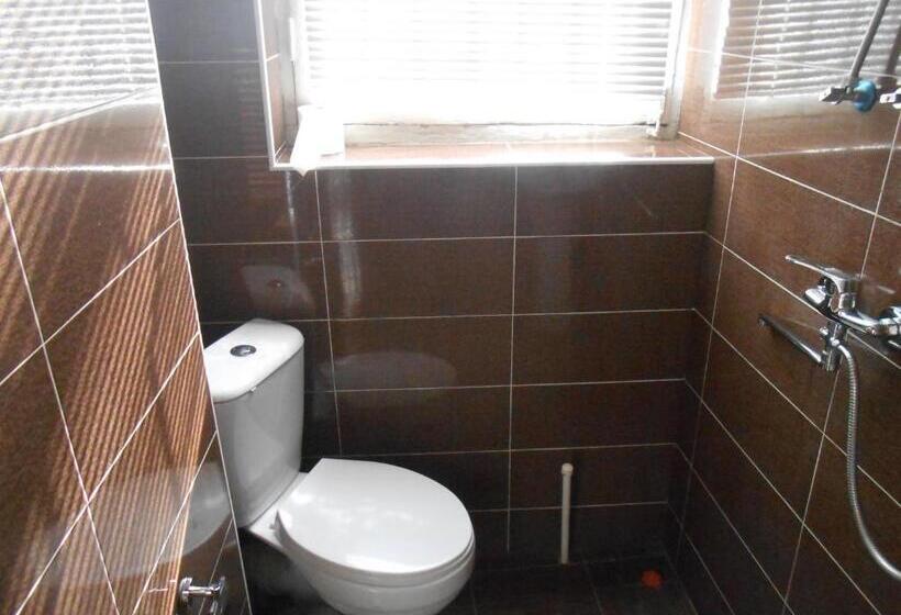 اتاق راحتی, Noah S Ark B&b