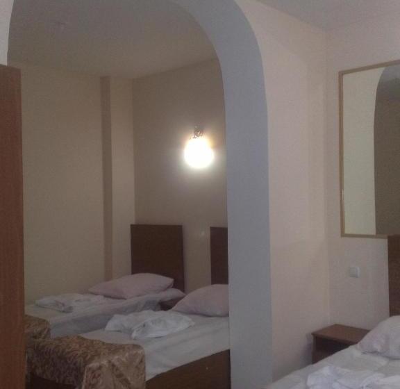 تختخواب در اتاق مشترک, Noah S Ark B&b