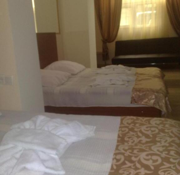 تختخواب در اتاق مشترک, Noah S Ark B&b