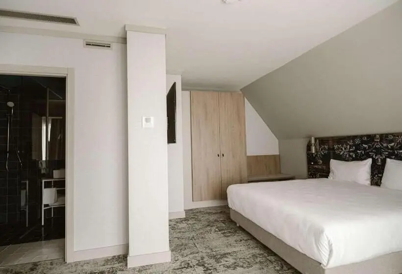 اتاق سوپریور با تخت بزرگ, Mercure Sibiu Arsenal