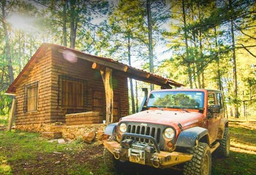 ファミリールーム, Campamento Plan De Los álamos
