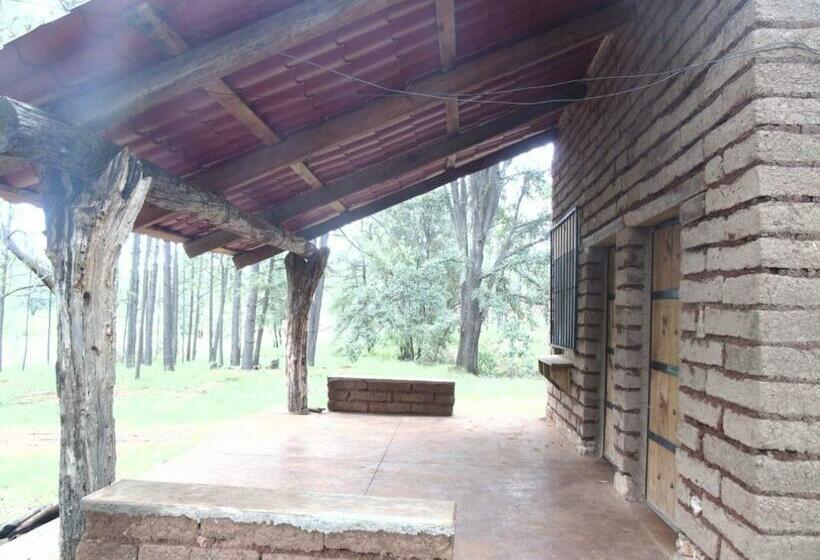 家庭间, Campamento Plan De Los álamos