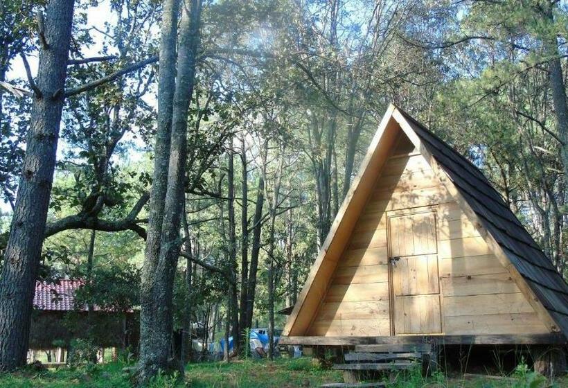 スタンダード４人部屋, Campamento Plan De Los álamos