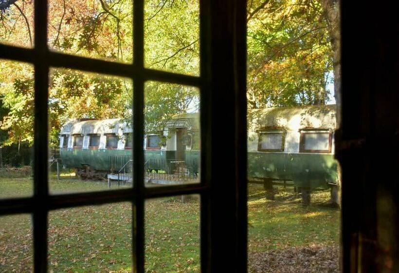 高级套房, Los Vagones De Areco