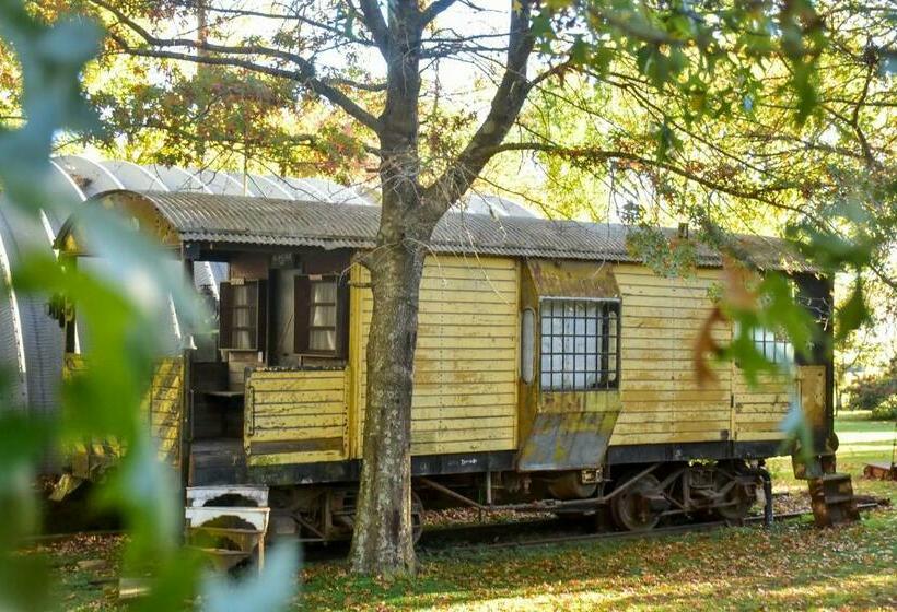 高级套房, Los Vagones De Areco