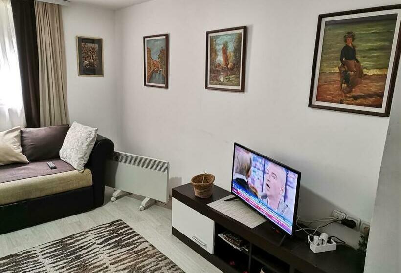 آپارتمان 1 خوابه همکف, Vikendica Andjelka 1 Zlatibor