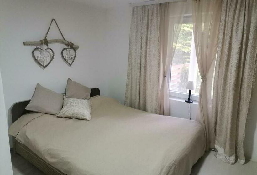 آپارتمان 1 خوابه همکف, Vikendica Andjelka 1 Zlatibor