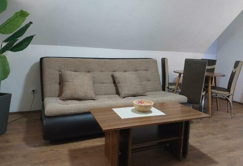 آپارتمان 1 خوابه با تراس, Vikendica Andjelka 1 Zlatibor