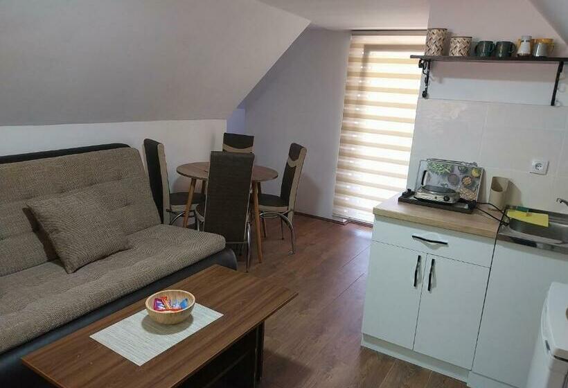 آپارتمان 1 خوابه با تراس, Vikendica Andjelka 1 Zlatibor