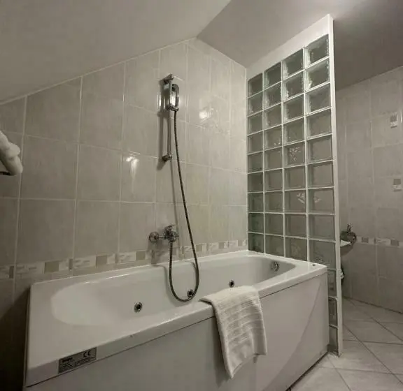آپارتمان 2 خوابه با بالکن, Aparthotel Gaja