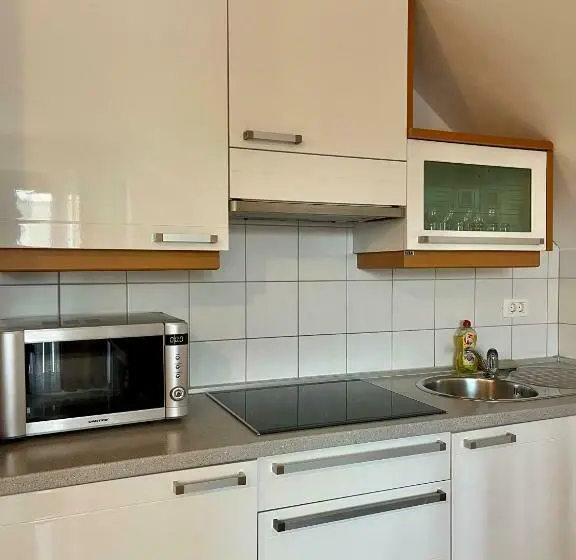 آپارتمان 1 خوابه با بالکن, Aparthotel Gaja