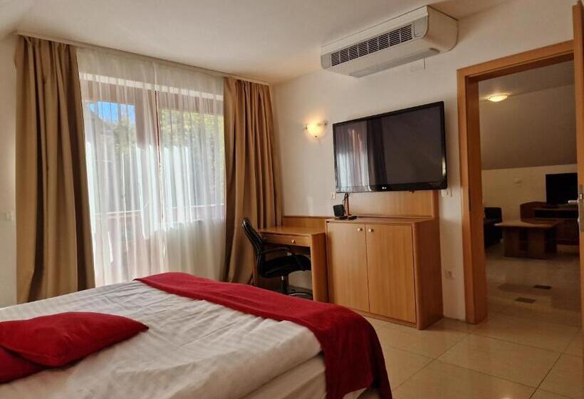 آپارتمان 2 خوابه با بالکن, Aparthotel Gaja