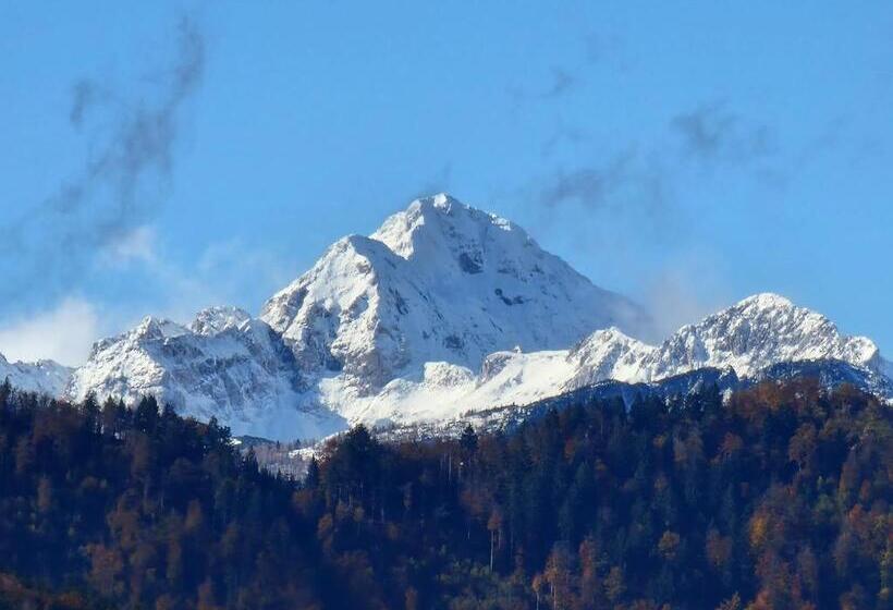 1 Bedroom Apartment Mountain View, Aparthotel Gaja