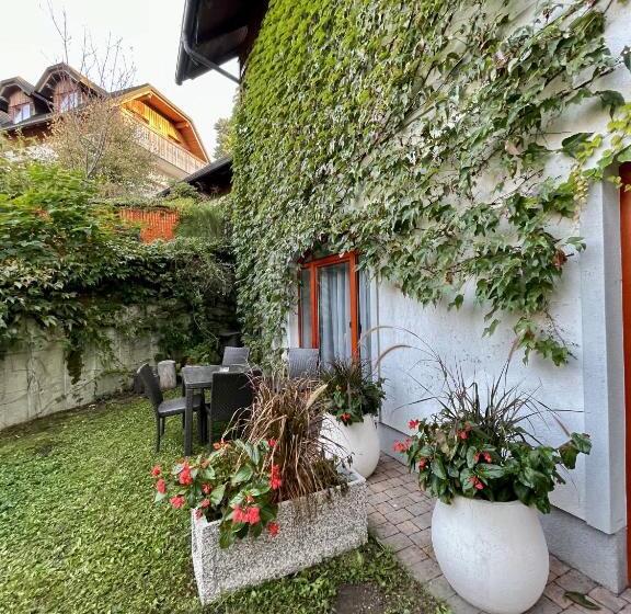 استودیوی استاندارد اینتریور, Aparthotel Gaja