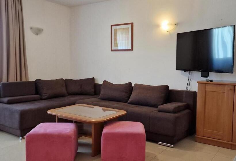 آپارتمان 1 خوابه با بالکن, Aparthotel Gaja