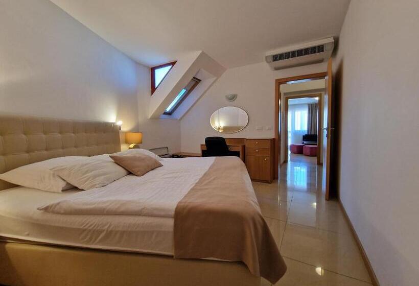 آپارتمان 1 خوابه با بالکن, Aparthotel Gaja