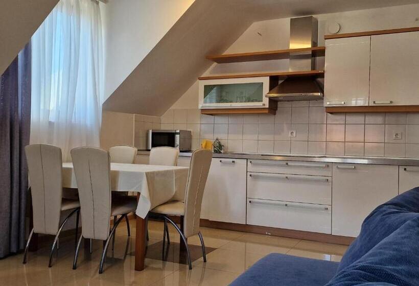 آپارتمان 1 خوابه با چشمانداز, Aparthotel Gaja