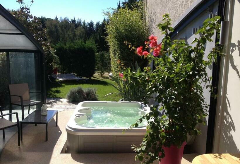 Люкс Deluxe Кровать Кинг, Chambres D'hotes Deluxe Jacuzzi Mas De L'etoile