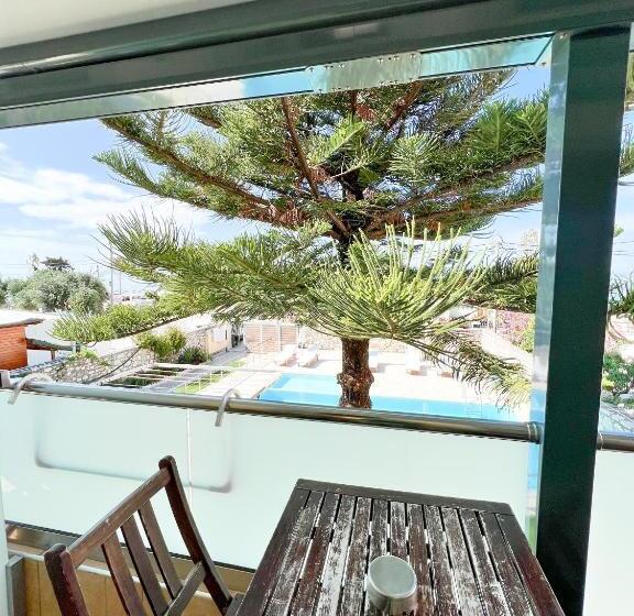 חדר אקונומי, Dimitri