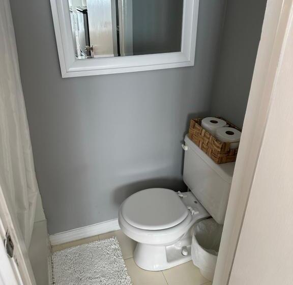 ベーシックワンルーム, The Vurpillat