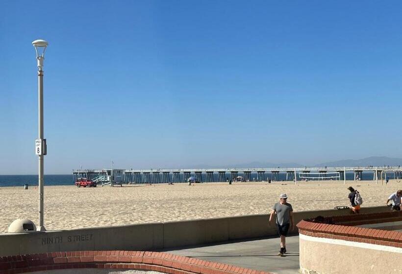 スタンダードスタジオ, The Vurpillat