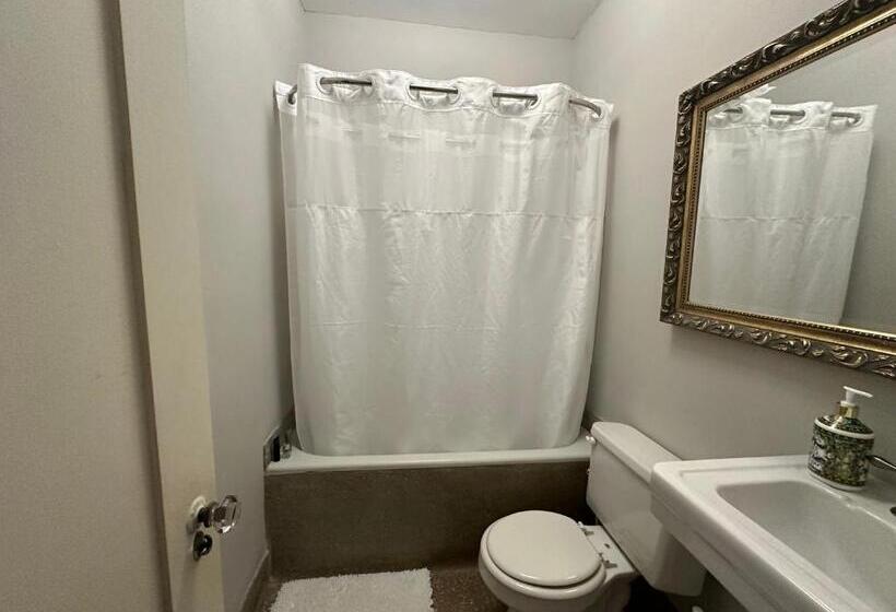 スタンダードスタジオ, The Vurpillat