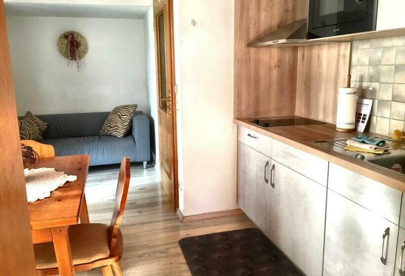 آپارتمان 1 خوابه, Gästehaus Brigitte