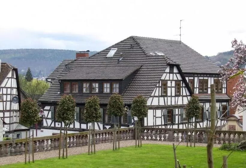 اتاق استاندارد یک نفره, Goldner Engel, Restaurant   Hotel   Metzgerei