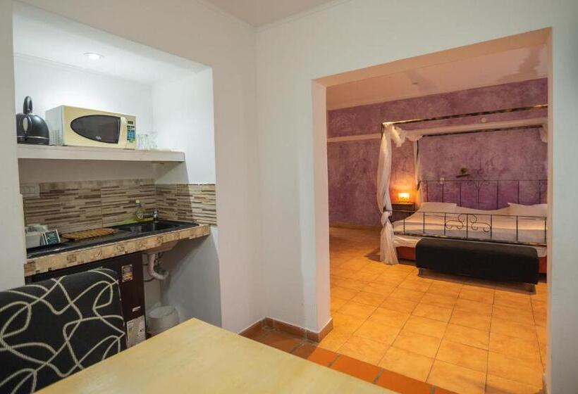 جناح ديلوكس, Hacienda Don Justo Hotel Boutique Spa