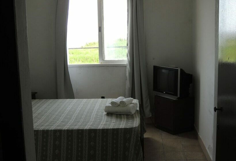 스탠다드 룸, Araucano