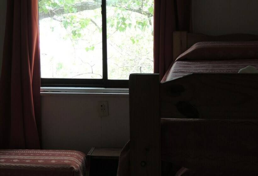 스탠다드 트리플 룸, Araucano